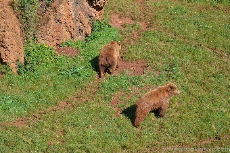 sitios para visitar en semana santa cantabria sitios para visitar en semana santa