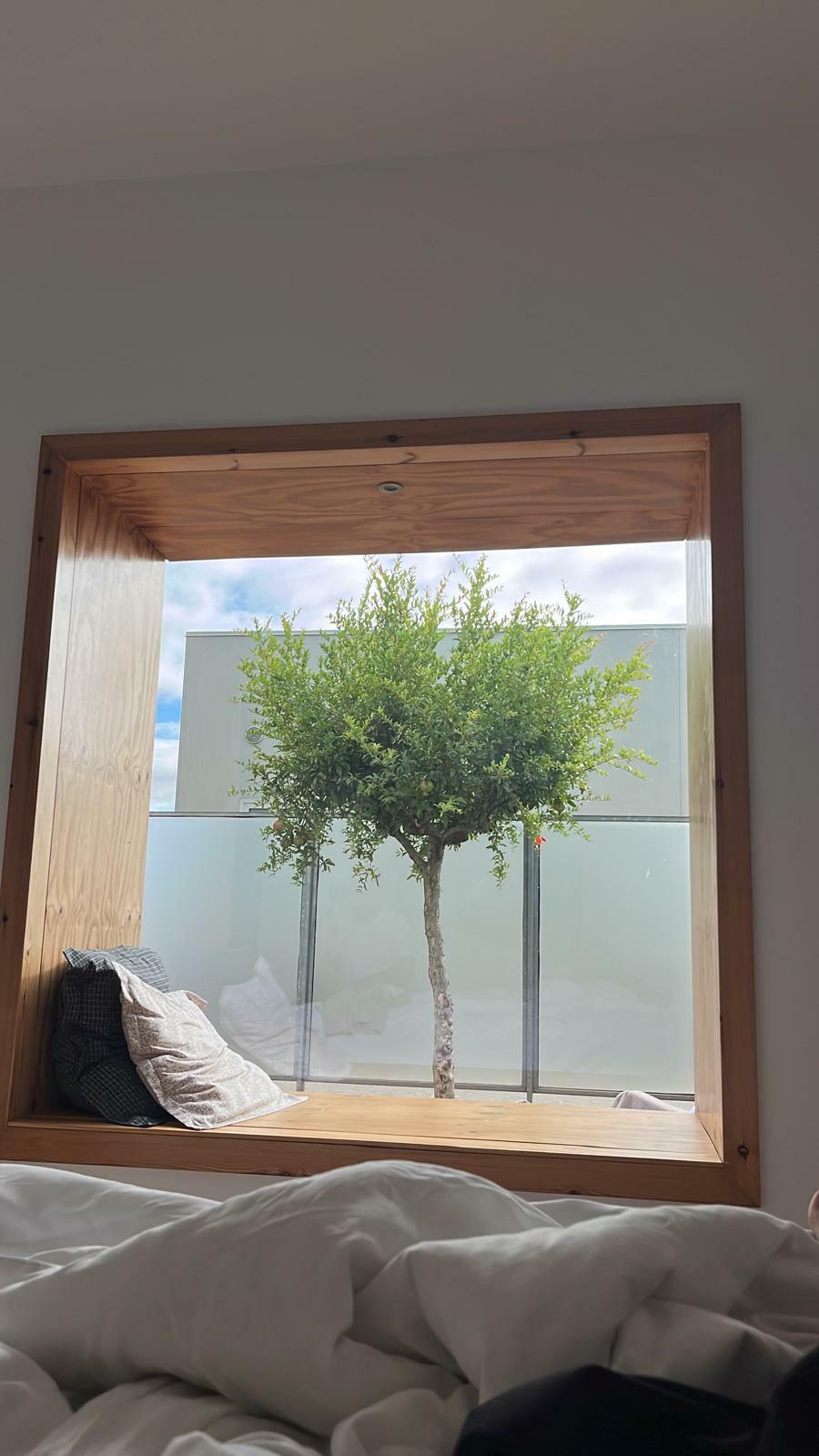 Aire de Bardenas reseña honesta