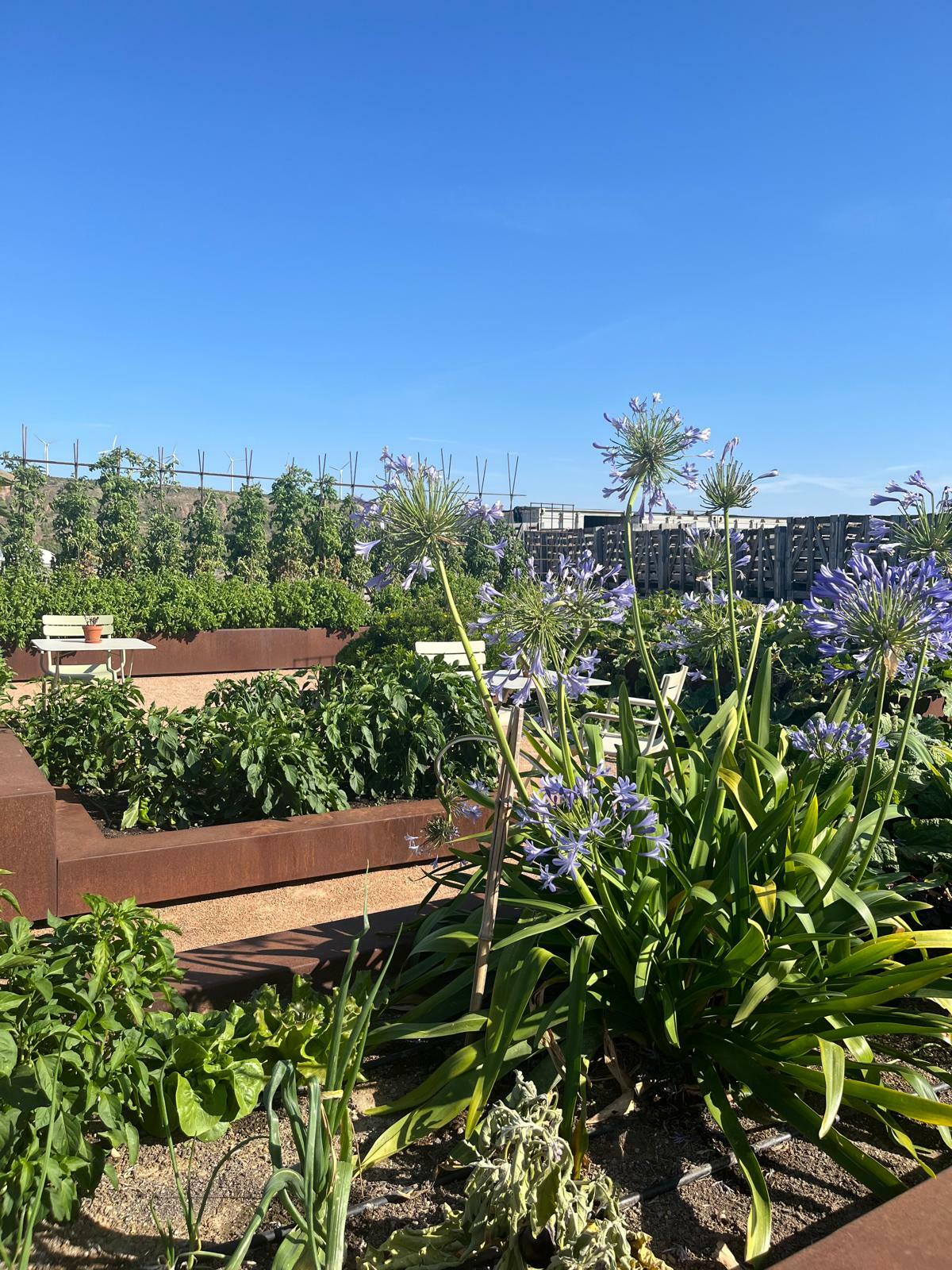 Dónde está Aire de Bardenas y cómo llegar