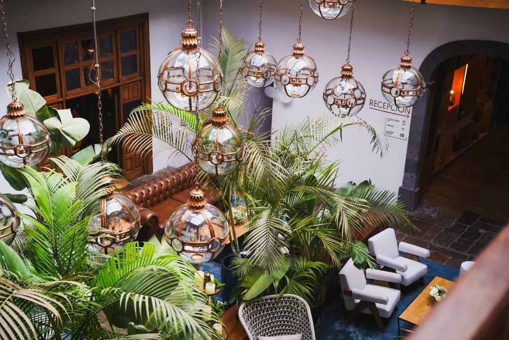 Alojamientos recomendados en La Laguna